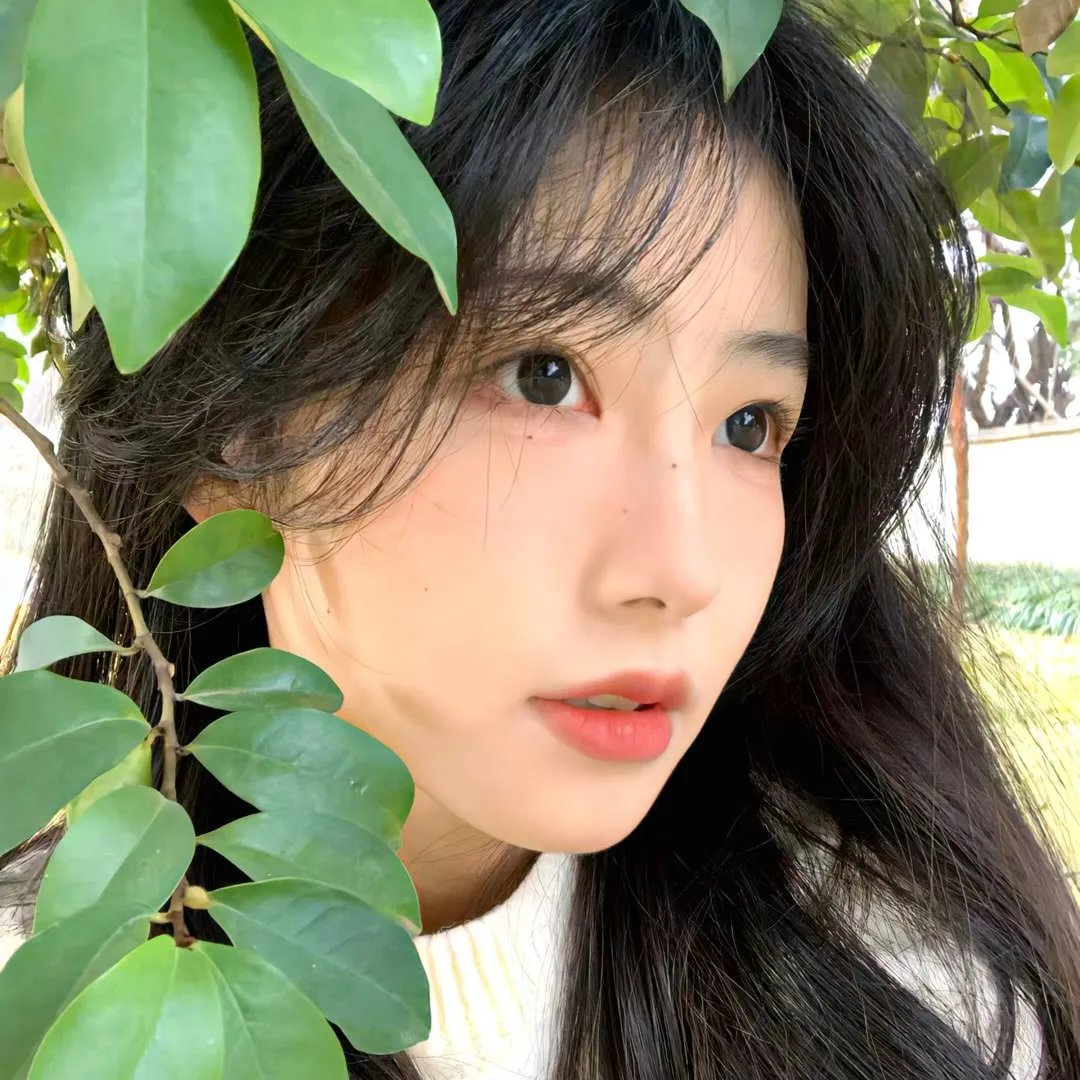 梦想的日子